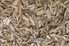 biomass boilers Polmassick